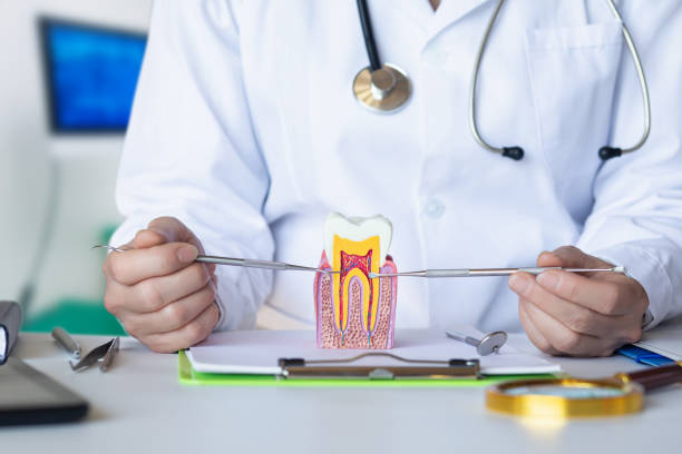 Best Emergency Treatment for Dental Infections or Abscesses in Valley Park, MO